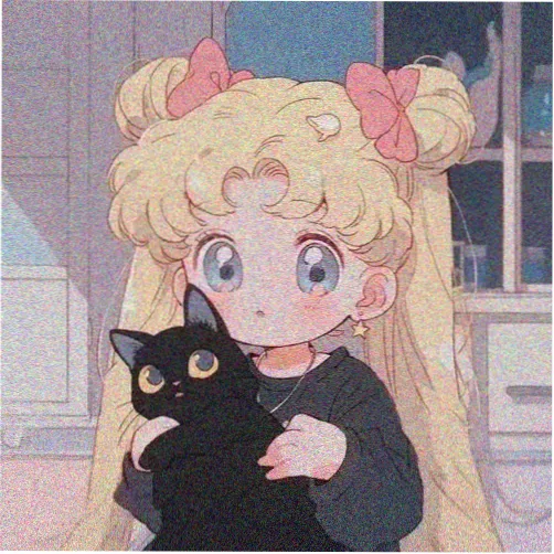 观众头像 便当盒先生